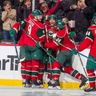 Minnesota Wild